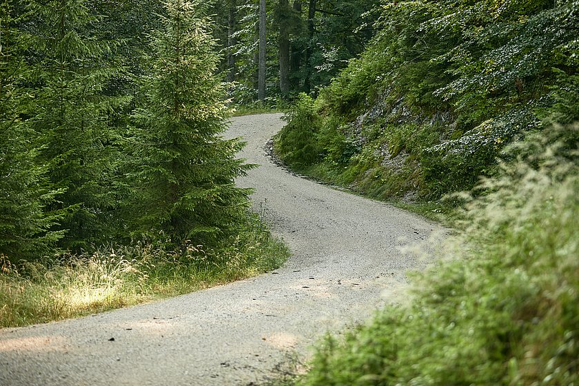 Friedwald Elmau, Begräbniswald Elmau, Ruhewald Elmau, Stiller Wald Mittenwald, Naturfriedhof Elmau, Hauptweg