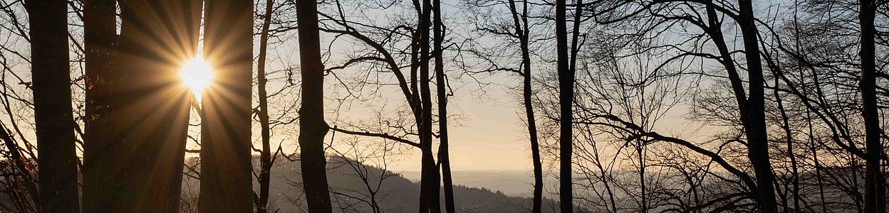 Blick ins Nürnberger Land