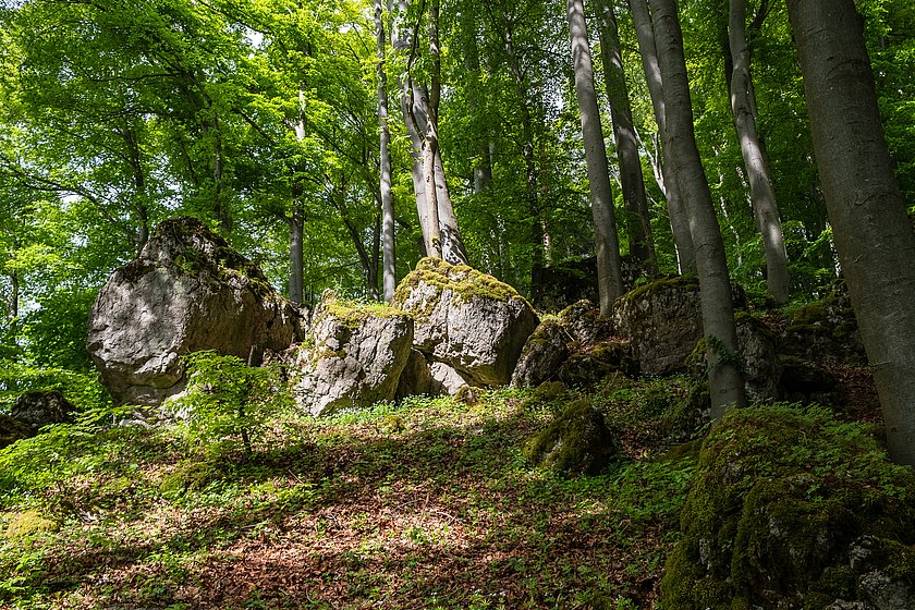 Stiller Wald Königsholz, Naturfriedhof Königsholz, Friedwald Königsholz, Ruhewald Königsholz, Begräbniswald Königsholz, Schnaittach, Mittelfranken, Naturpark Fränkische Schweiz, Baumgrabstätte, Felsgrabstätte, Thomas Geiger