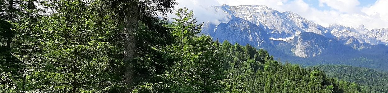 Blick vom Aussichtspunkt des Naturfriedhofes in das Wetterstein-Gebirge