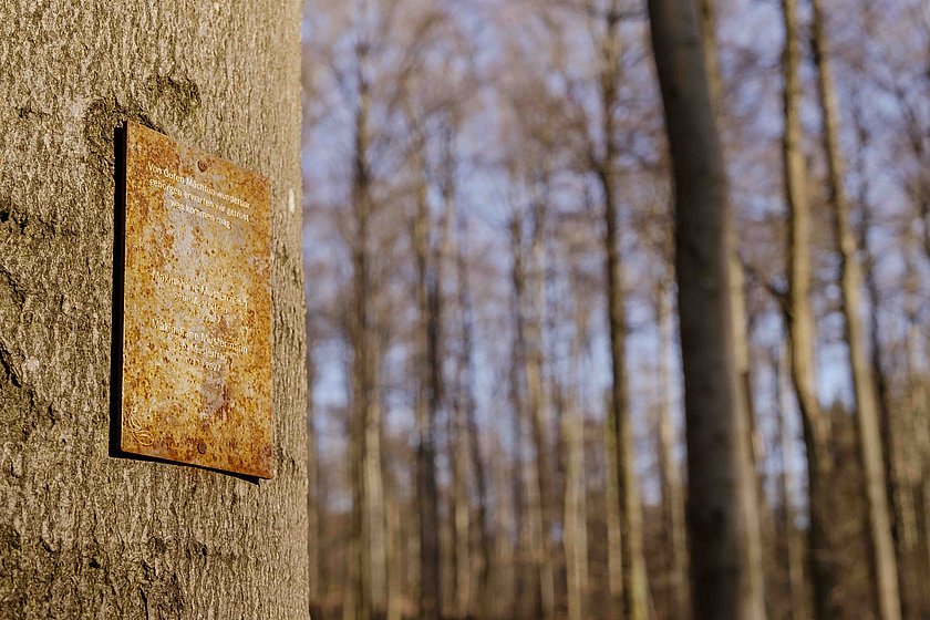 Gedenktafel, Grabstätte, Name, Stille Wälder