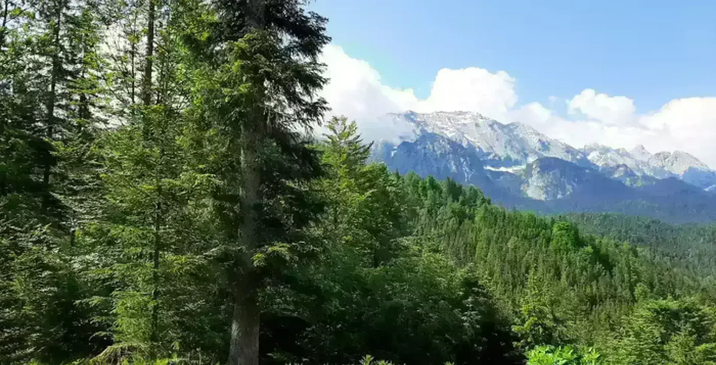 Mittenwald Aussicht
