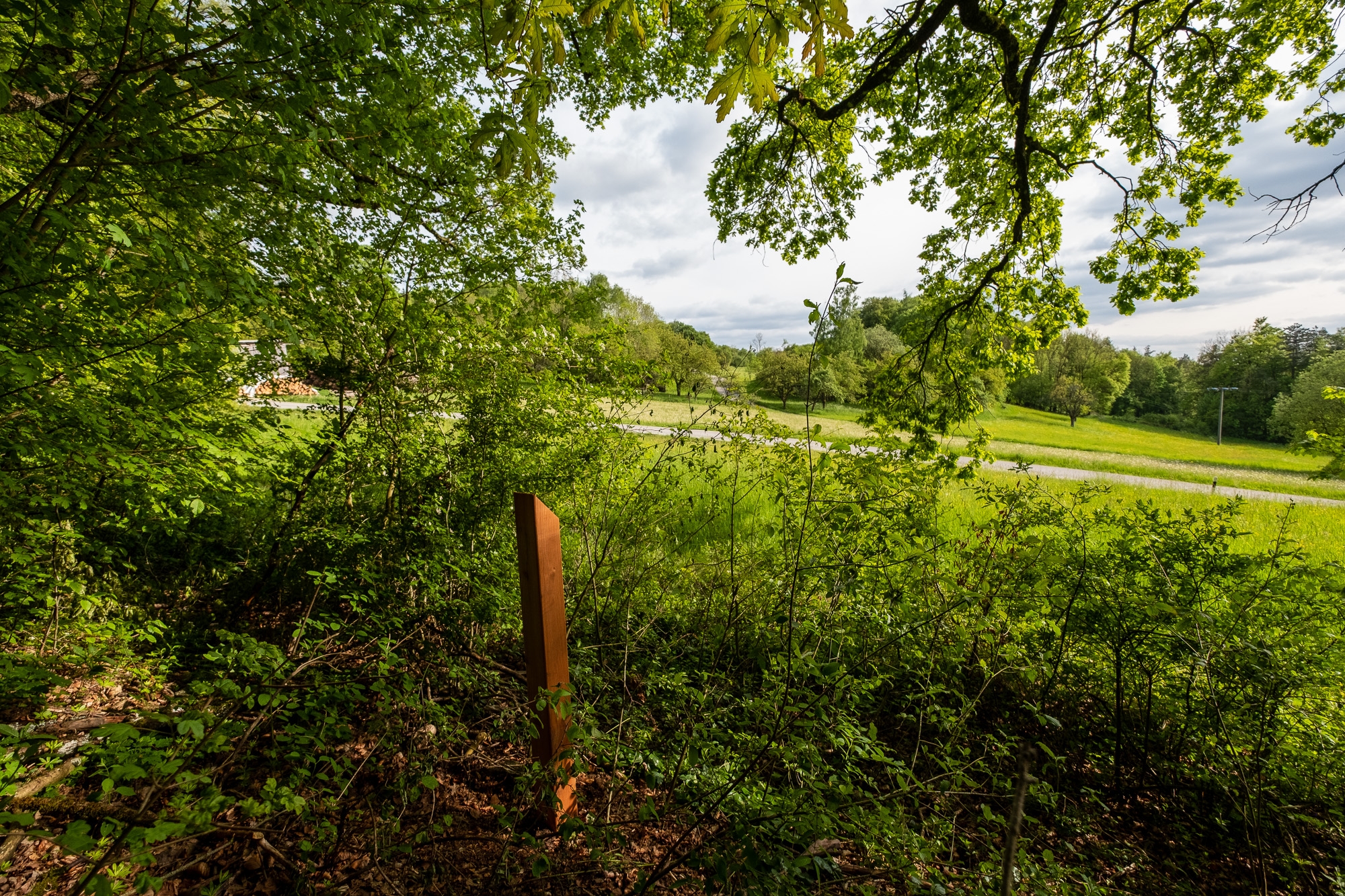 Blick auf Streuobstwiesen