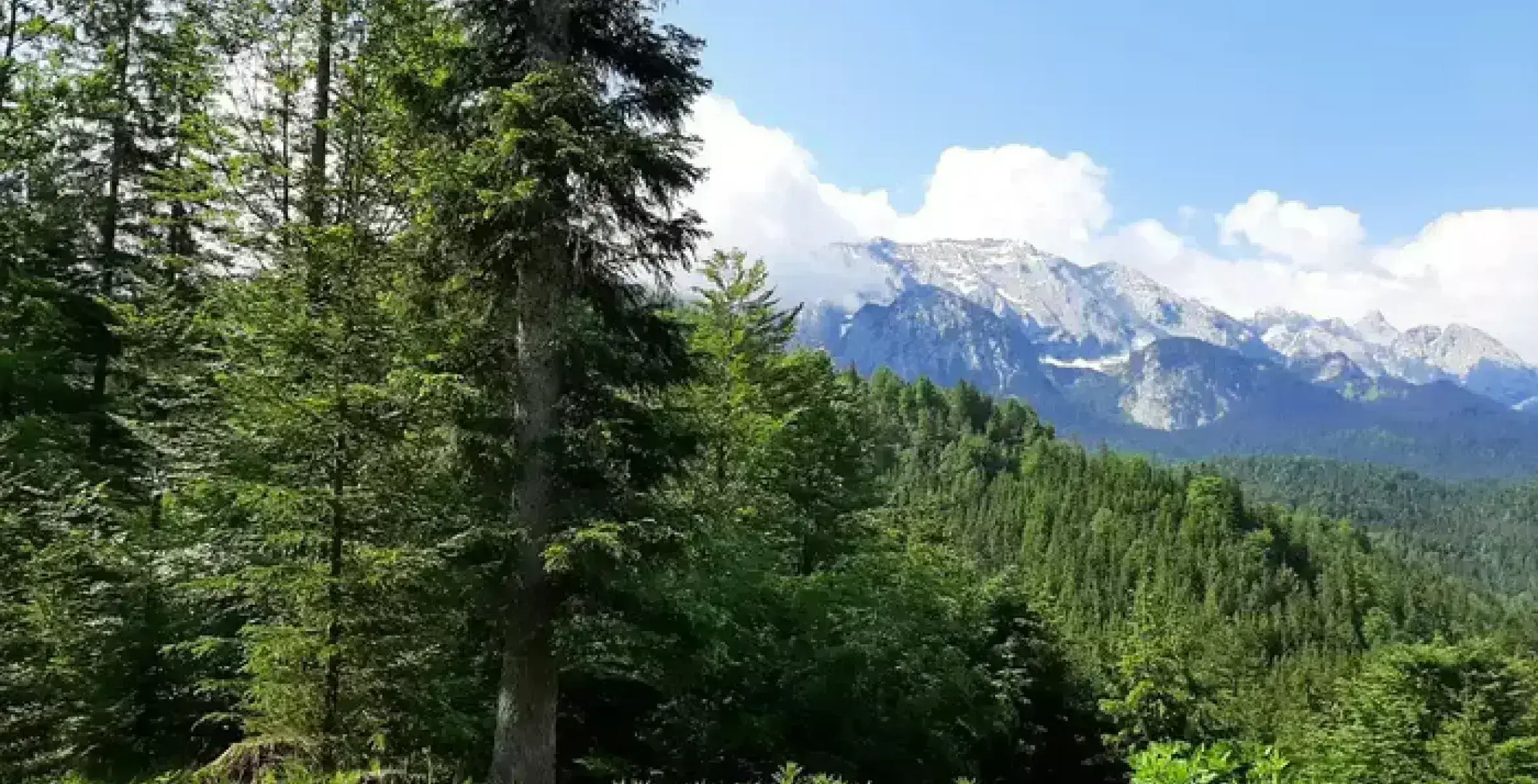 Mittenwald Aussicht