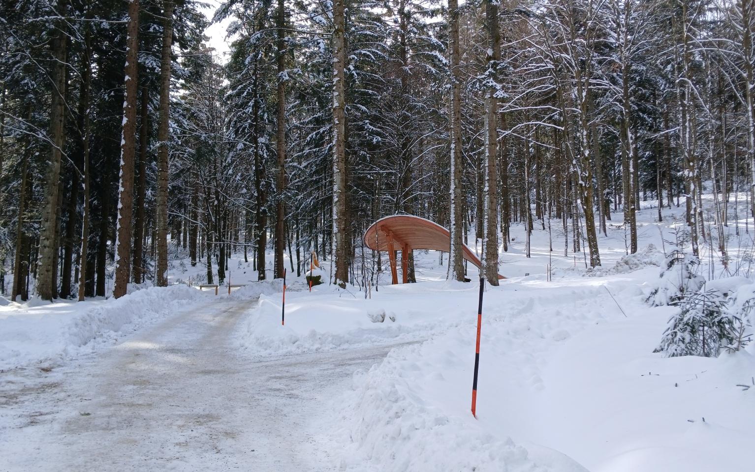 Waldfriedhof im Winter