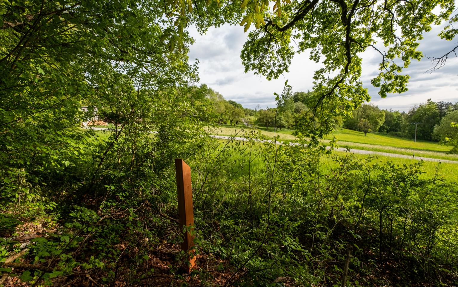 Blick auf Streuobstwiesen
