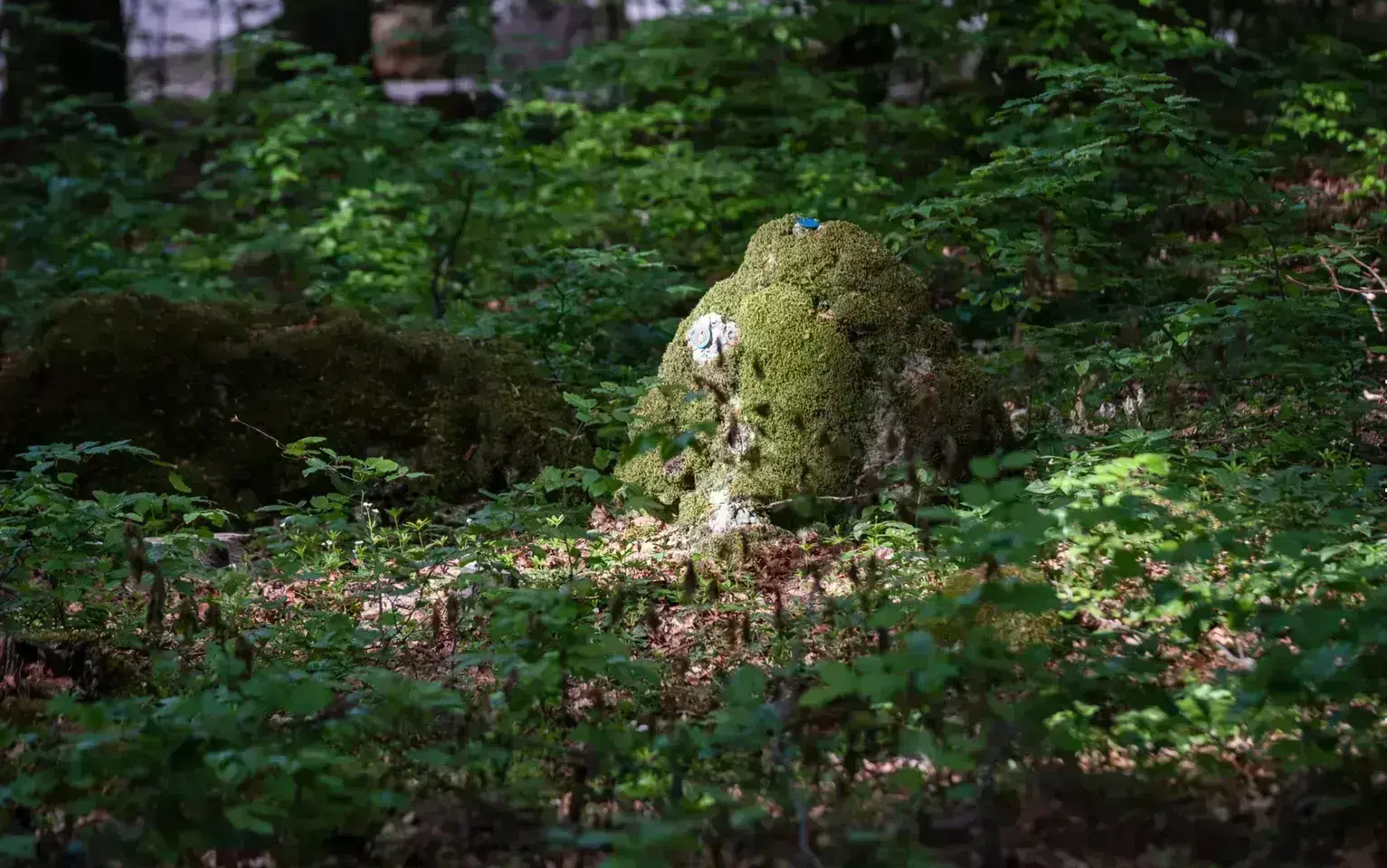Lichtstrahl auf einen Felsen